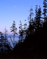 QUODDY HEAD STATE PARK, MAINE