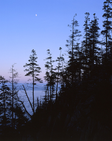 QUODDY HEAD STATE PARK, MAINE