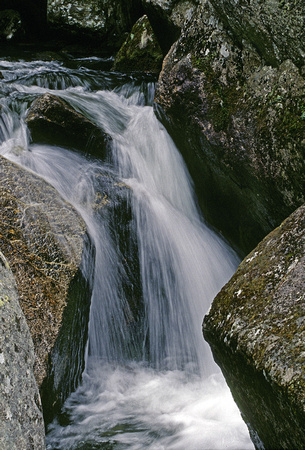 KATAHDIN PARK STREAM
