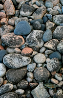 Maine Coast