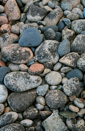 Maine Coast