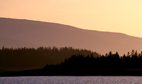 MAINE COAST