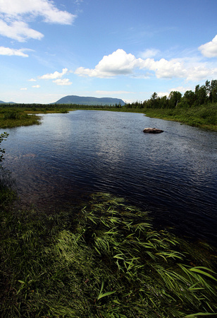 Lazy Tom Stream, Maine
