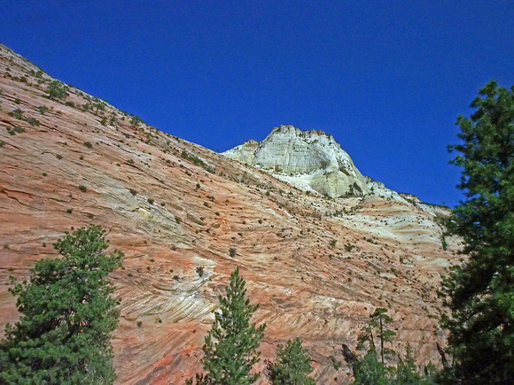ZION NAT'L PARK