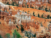 BRYCE CANYON NAT'L PARK