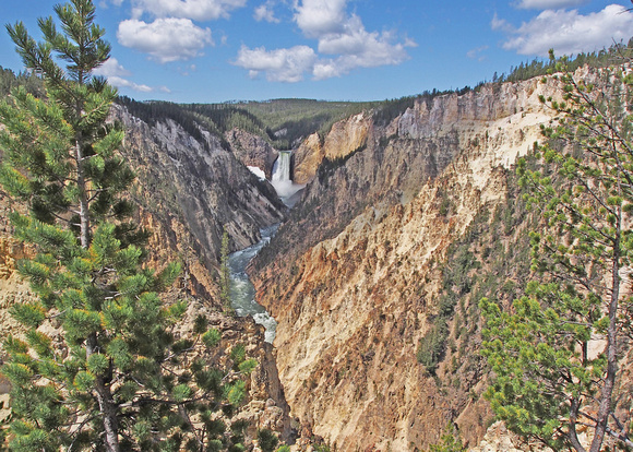 LOWER YELLOWSTONE FALLS