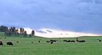 CUSTER STATE PARK - SOUTH DAKOTA