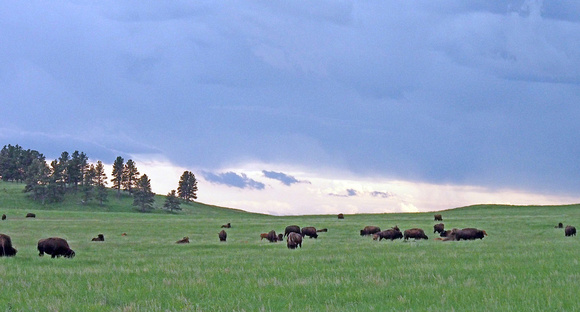 CUSTER STATE PARK - SOUTH DAKOTA
